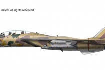 HA5205　1/72 F-14AM トムキャット "イラン・イスラム共和国空軍 2014" ￥18,800(税抜価格)